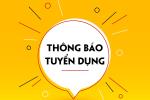 Thông báo về việc tuyển dụng lao động
